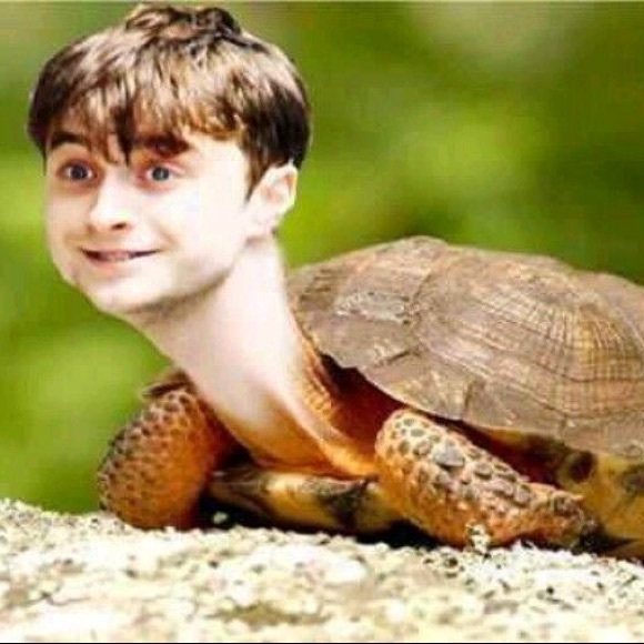 Meet your Posher, Jason - Picture 1 of 1